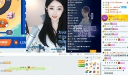 孟贺爆料小菲视频播放,真相与争议并存