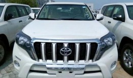 新款霸道爆料视频下载安装,揭秘新款霸道爆料视频中的亮点与安装过程